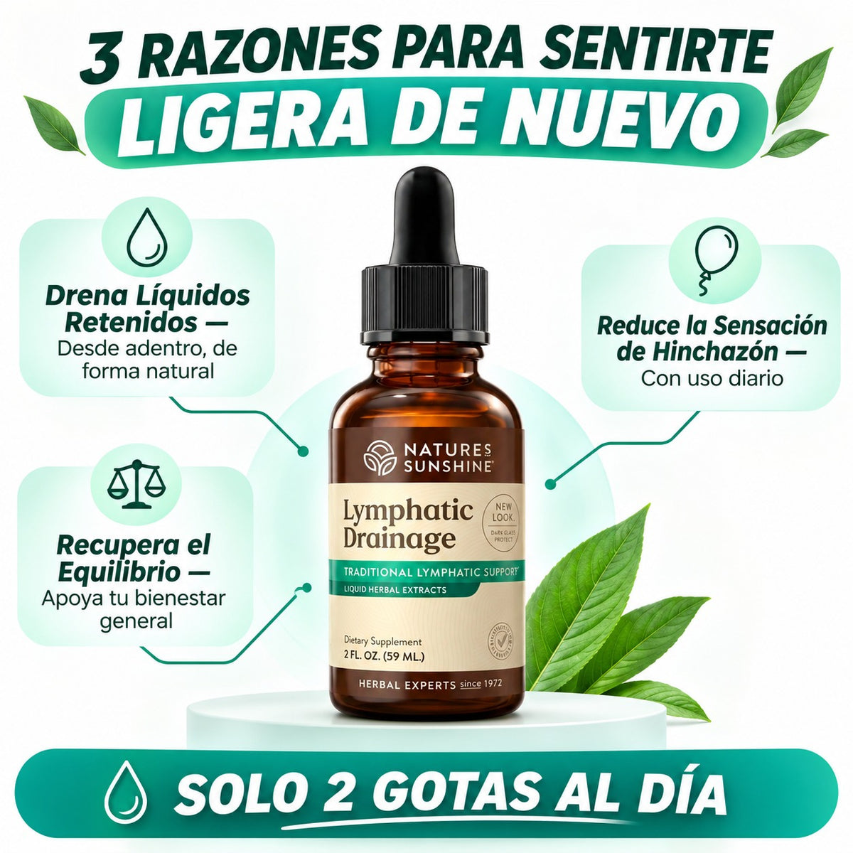 DRENAJE LINFATICO: Ayuda a drenar líquidos retenidos y recupera tu ligereza natural