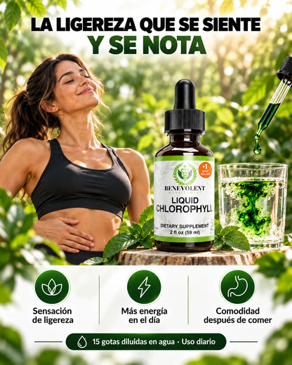 Gotas de clorofila: Tu cuerpo, más ligero. Tu energía, más alta.